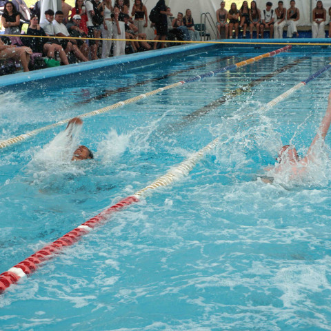 2024 T1 wk 06 swimming sports 