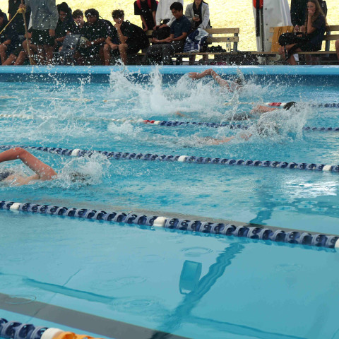 2024 T1 wk 06 swimming sports 