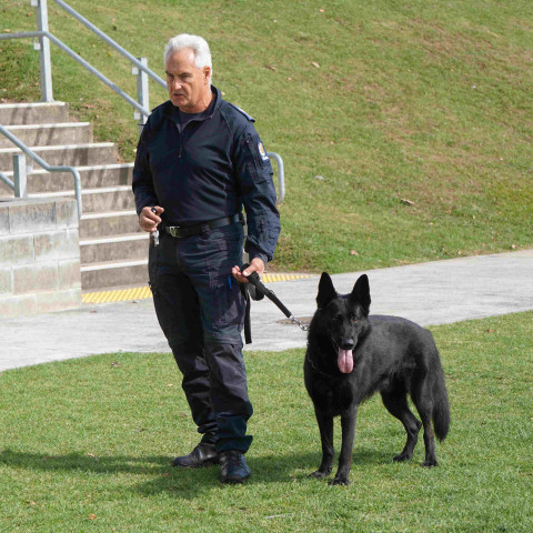 2024 T1 wk 06 police dog visit