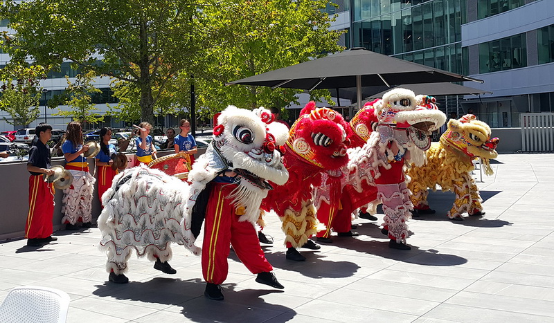 Lion Dance