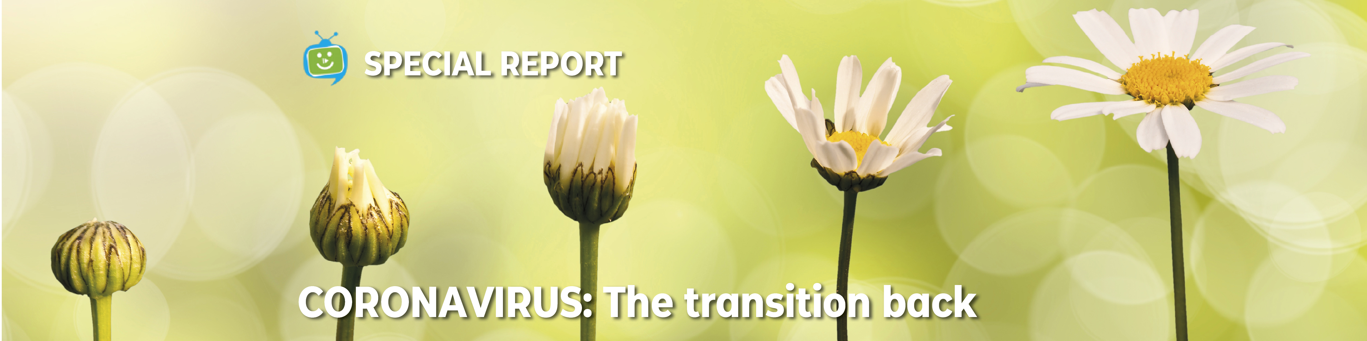 coronavirus - the transition back 