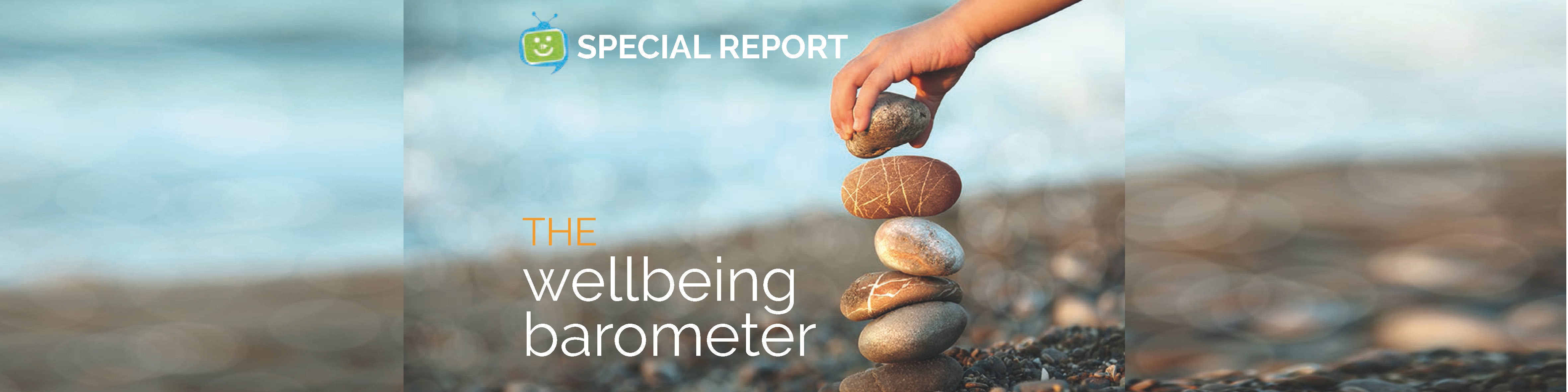 wellbeing portal - wellbeing barometer 