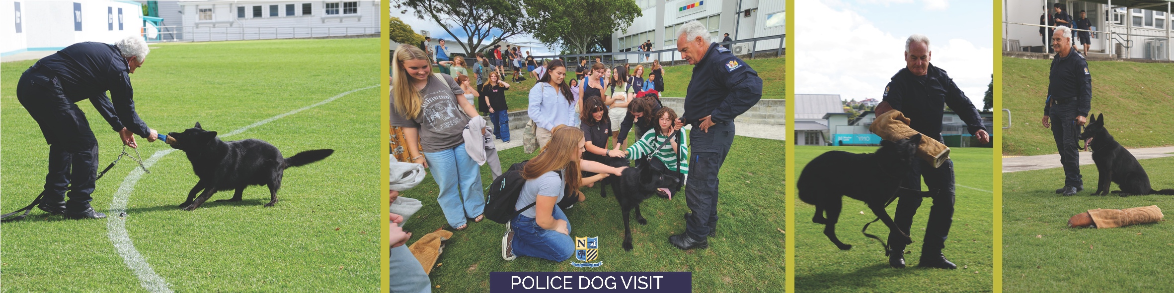 2024 T1 wk 06 police dog visit