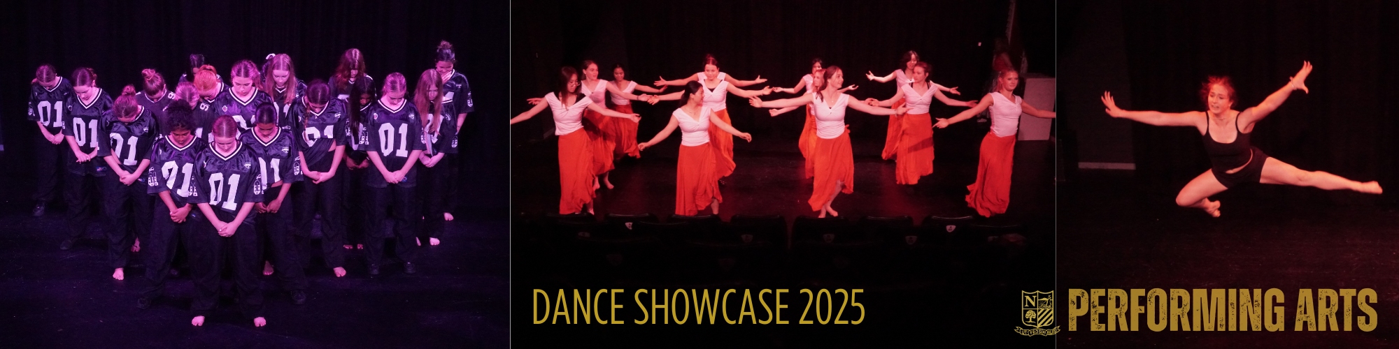 NC 2025 dance showcase 