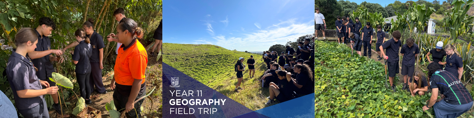 2026 T1 wk 07 11GEO in mangere