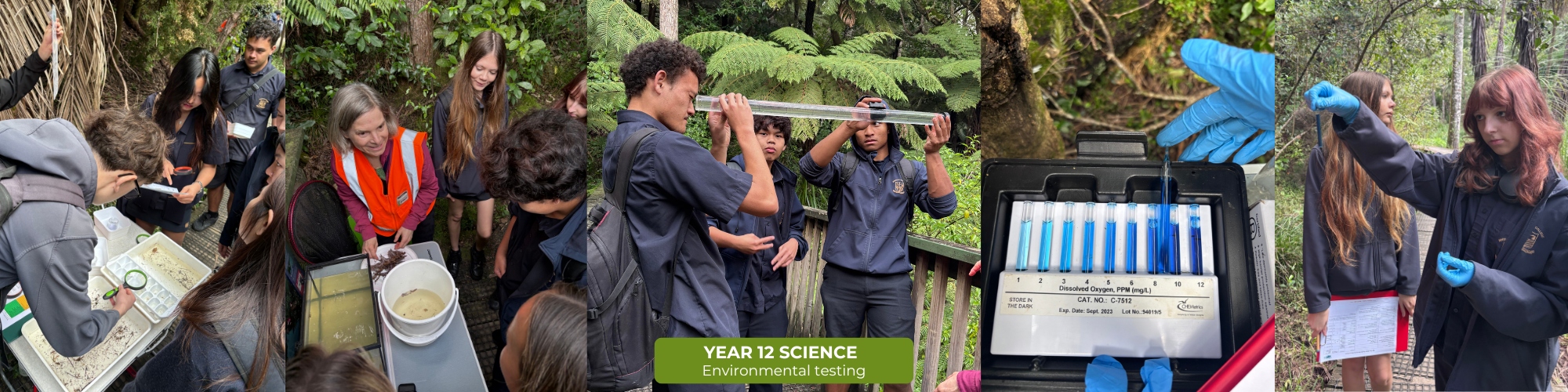 2026 T2 wk 06 Y12 science water 