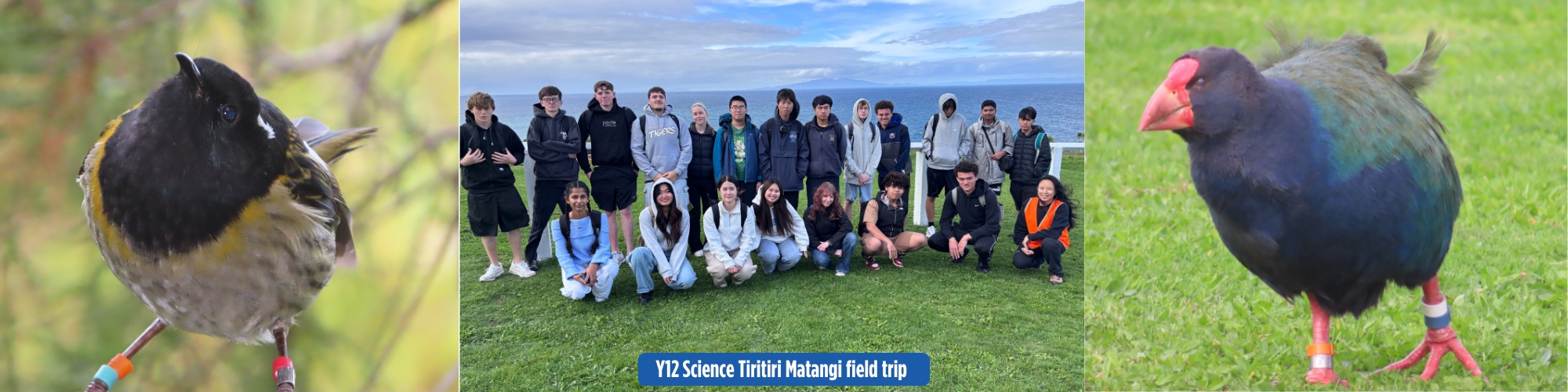 Y12 science trip to tiri