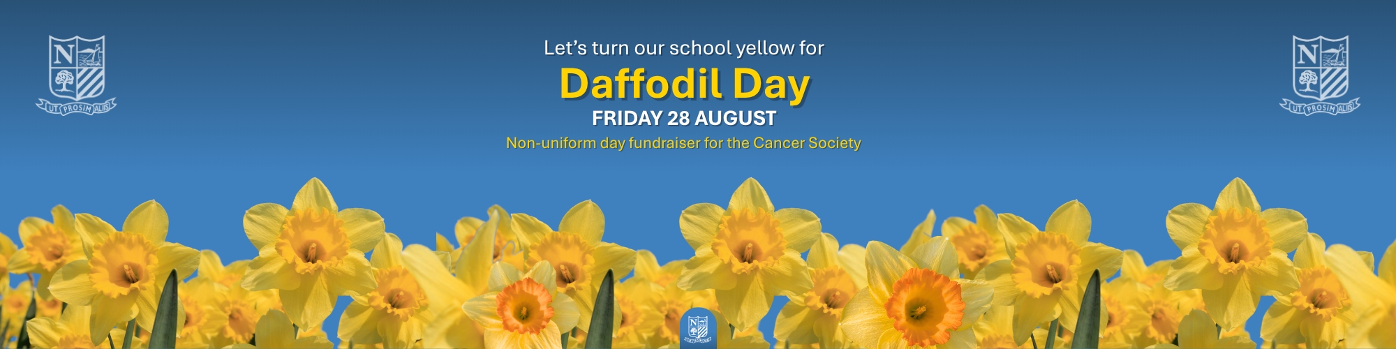 daffodil day 2026