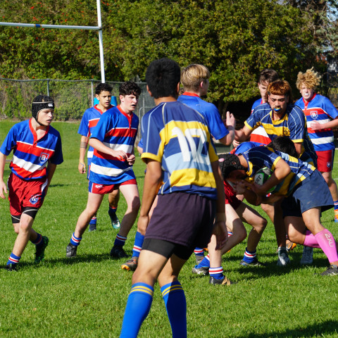 nc rugby 1st xv june 2020