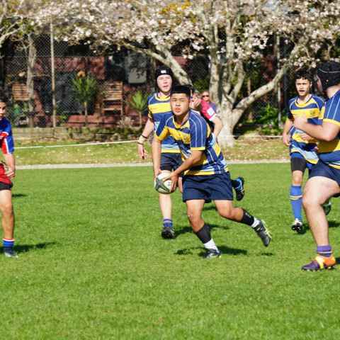 nc rugby 1st xv june 2020