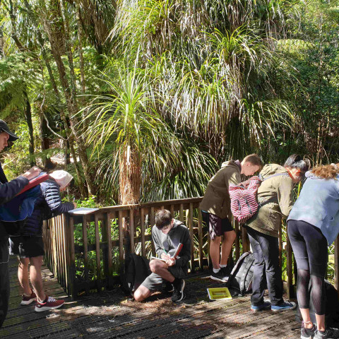 2020 12GEO wild waitakeres trip