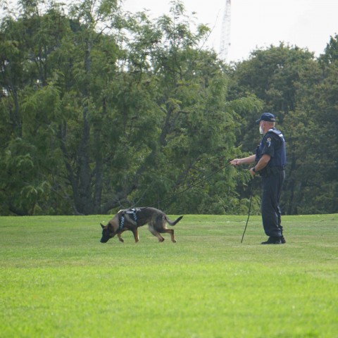 2022 T1 wk 04 police dog visit