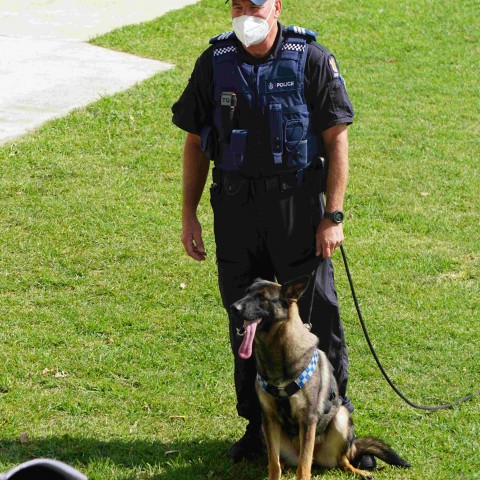 2022 T1 wk 04 police dog visit