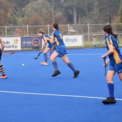 hockey 1st XI girls - 2022 T2 wk 05