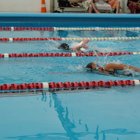 2023 northcote college swimming sports 