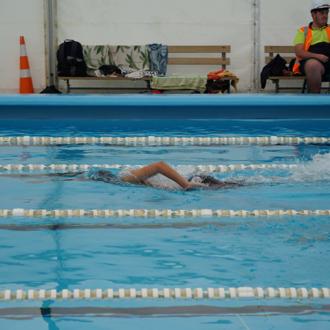 2023 northcote college swimming sports 