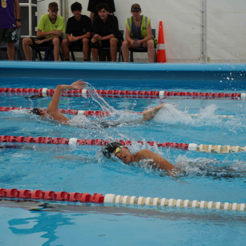 2023 northcote college swimming sports 