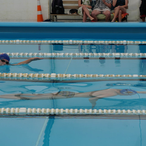 2023 northcote college swimming sports 