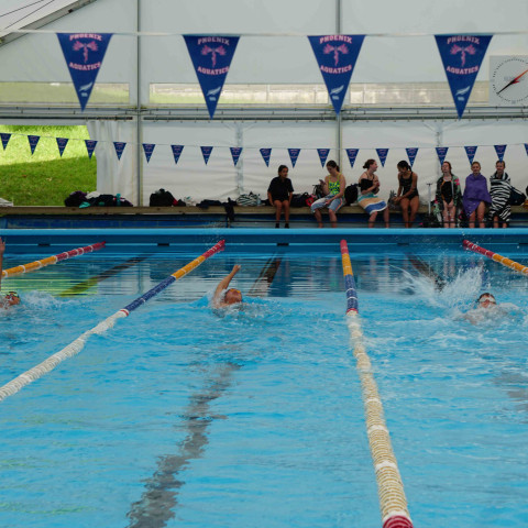 2023 northcote college swimming sports 