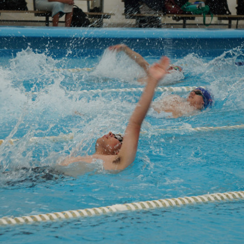 2023 northcote college swimming sports 