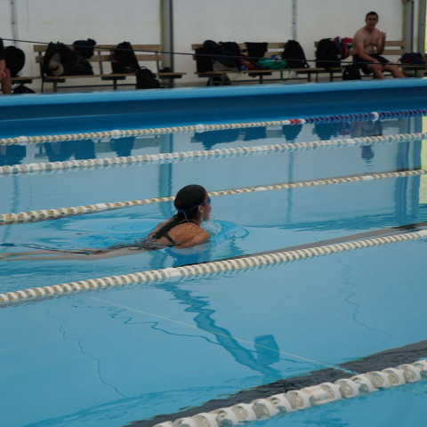2023 northcote college swimming sports 