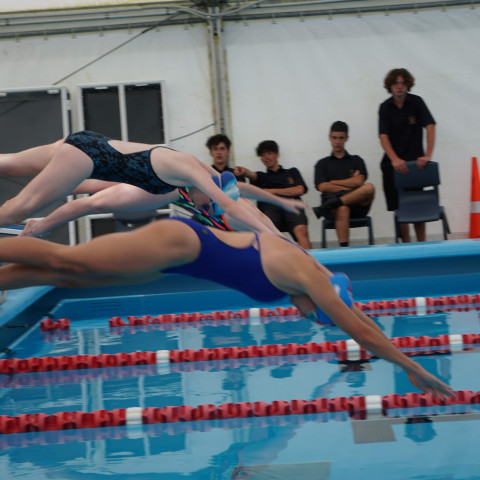 2023 northcote college swimming sports 