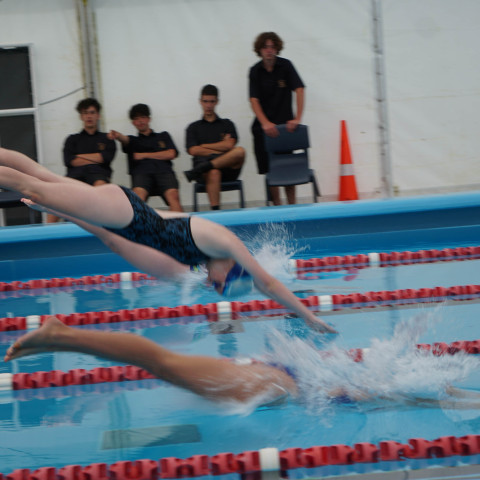 2023 northcote college swimming sports 