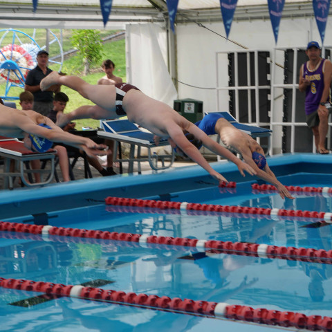 2023 northcote college swimming sports 