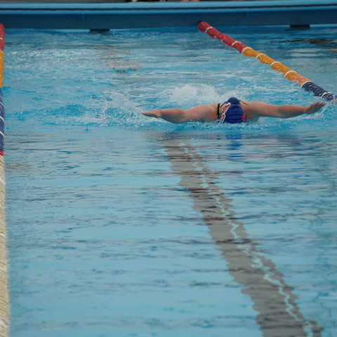 2023 northcote college swimming sports 