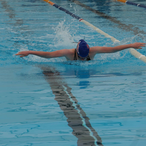 2023 northcote college swimming sports 