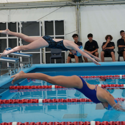 2023 northcote college swimming sports 