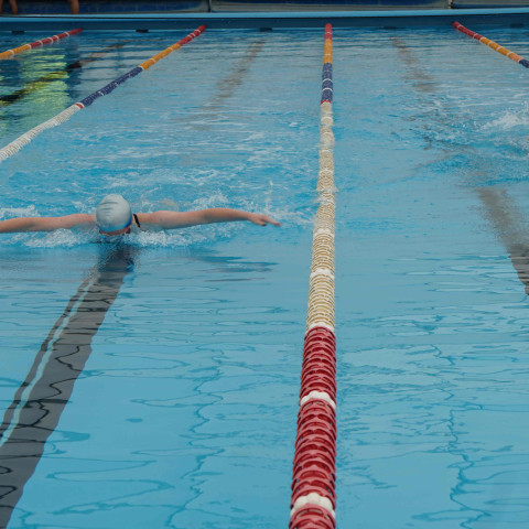 2023 northcote college swimming sports 