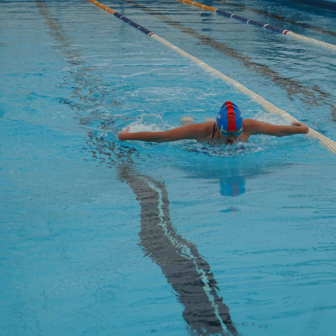 2023 northcote college swimming sports 