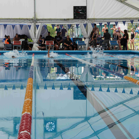 2023 northcote college swimming sports 