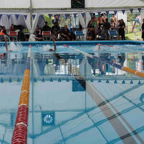 2023 northcote college swimming sports 