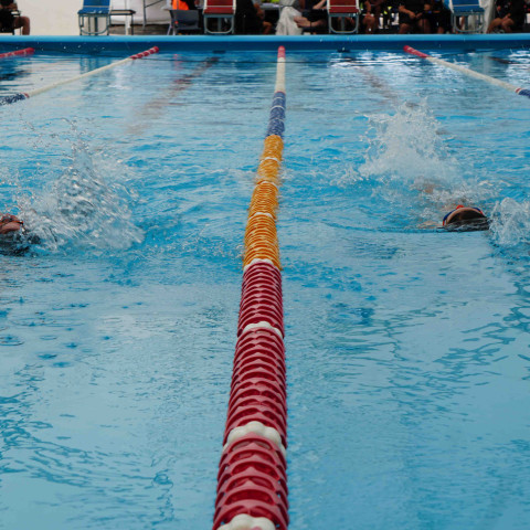 2023 northcote college swimming sports 