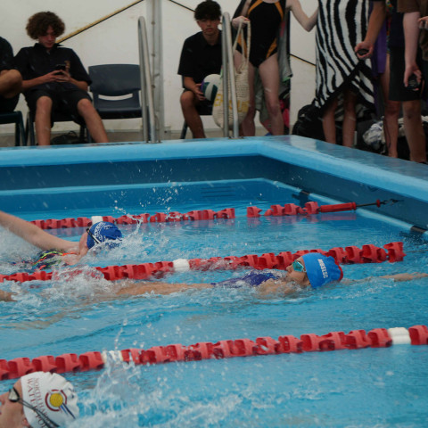 2023 northcote college swimming sports 