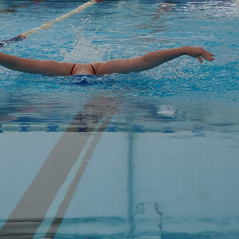 2023 northcote college swimming sports 