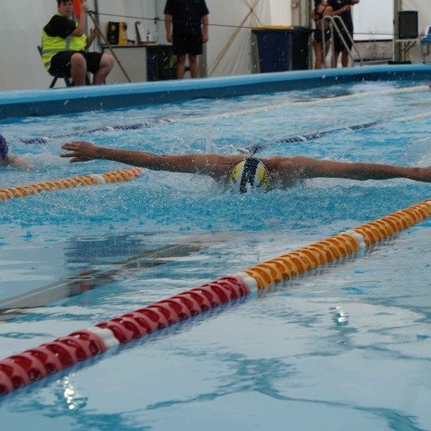 2023 northcote college swimming sports 