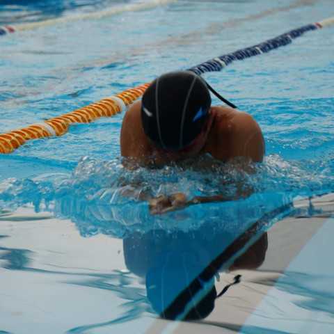 2023 northcote college swimming sports 