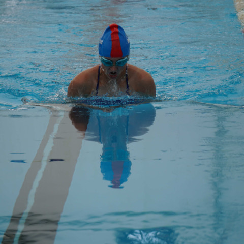 2023 northcote college swimming sports 