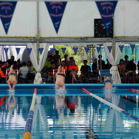 2023 northcote college swimming sports 