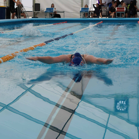 2023 northcote college swimming sports 