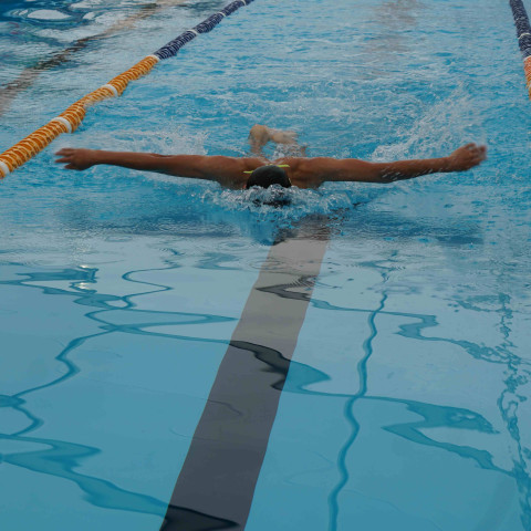 2023 northcote college swimming sports 