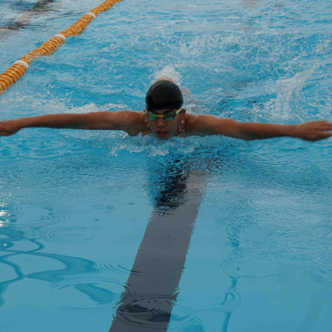 2023 northcote college swimming sports 