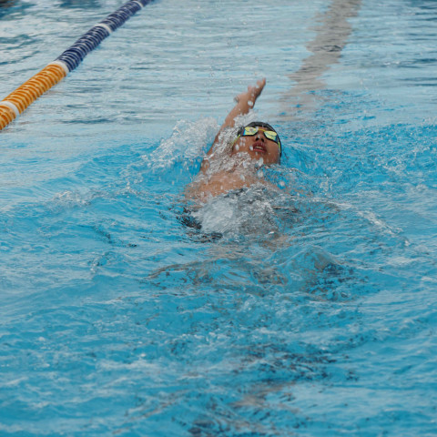 2023 northcote college swimming sports 