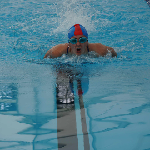 2023 northcote college swimming sports 