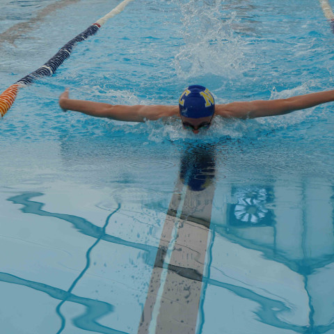 2023 northcote college swimming sports 