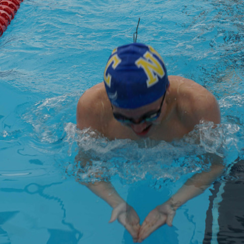 2023 northcote college swimming sports 