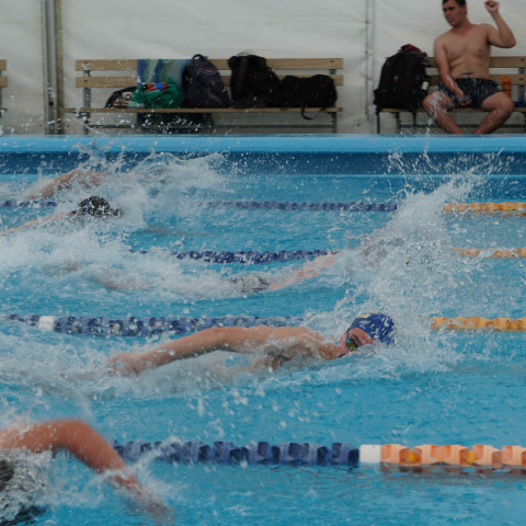 2023 northcote college swimming sports 